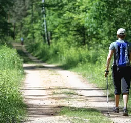 Top 10 Noric Walking Poles - Nordic Walking