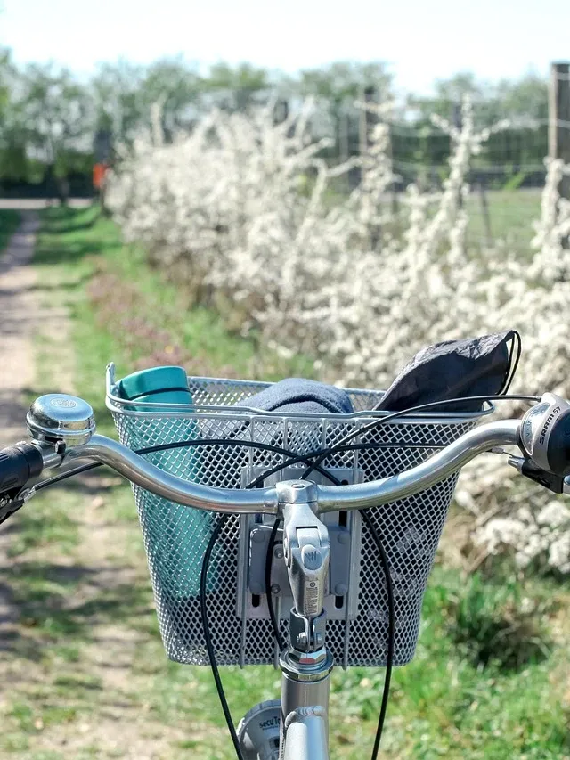 Arkel TailRider Bag Test Rain 2