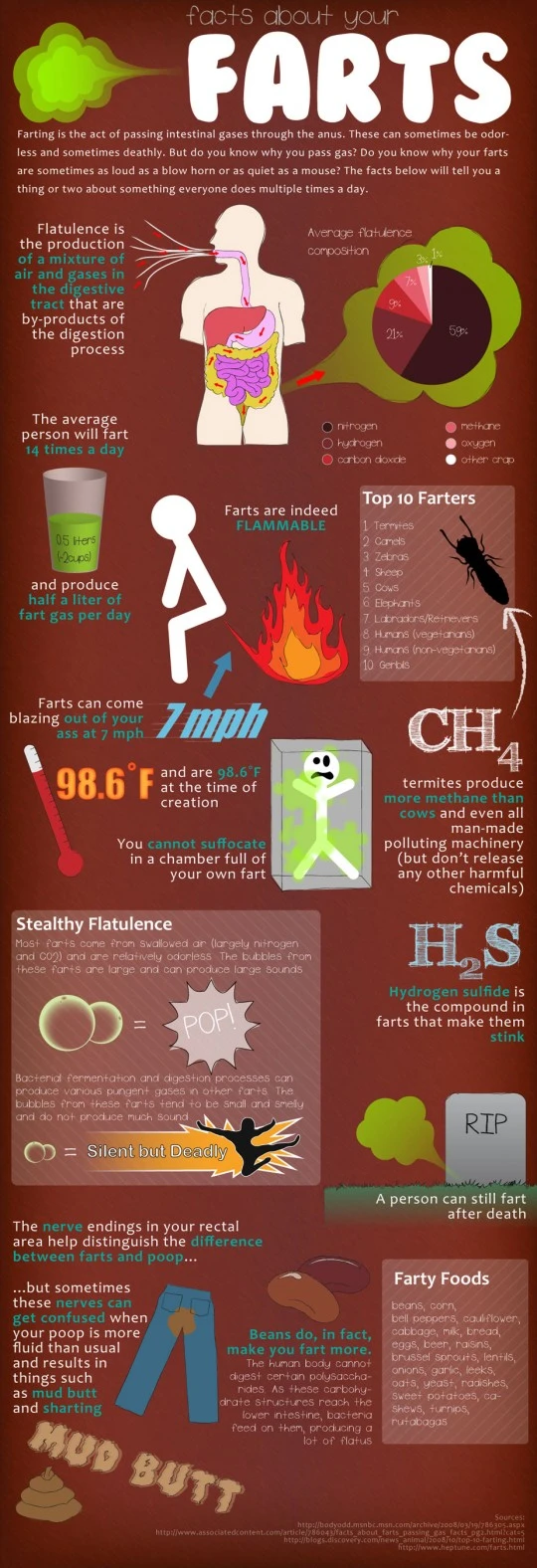 Your Farts: The Facts