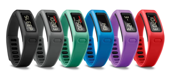 Garmin Viviofit