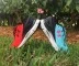 Under Armour Gemini 2 Running Shoe Review 1