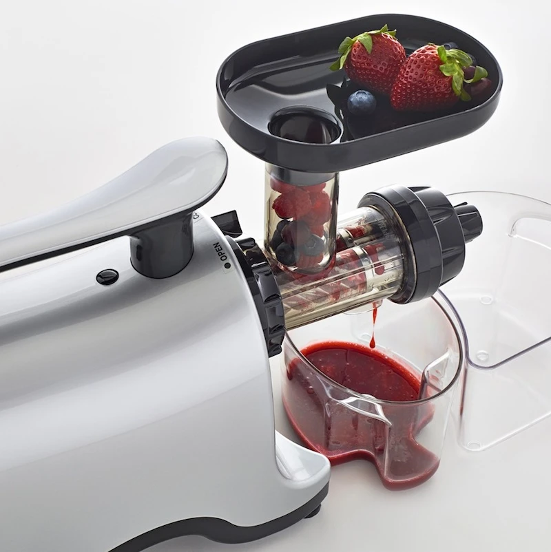 Omega Low RPM Horizontal Juicer