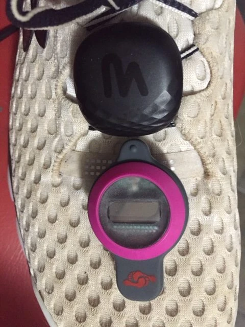 MilestonePod Milestone Pod Running 6