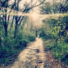 Greenbeltsunshinetrail