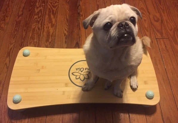 Pono Ola Balance Board 2017 Review C Olaf Pug